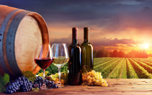 Savor Spain and Italy Wines